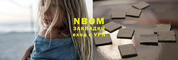 ГАЛЛЮЦИНОГЕННЫЕ ГРИБЫ Гусев