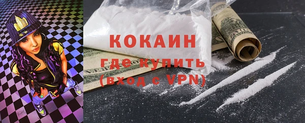 ГАЛЛЮЦИНОГЕННЫЕ ГРИБЫ Гусев