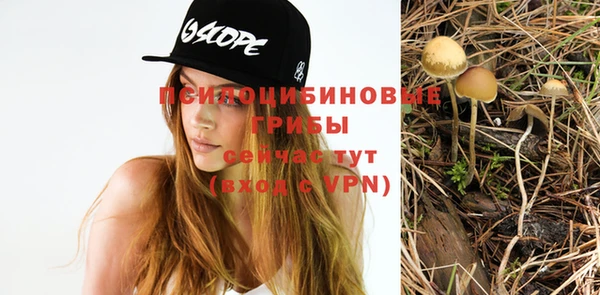 ГАЛЛЮЦИНОГЕННЫЕ ГРИБЫ Гусев