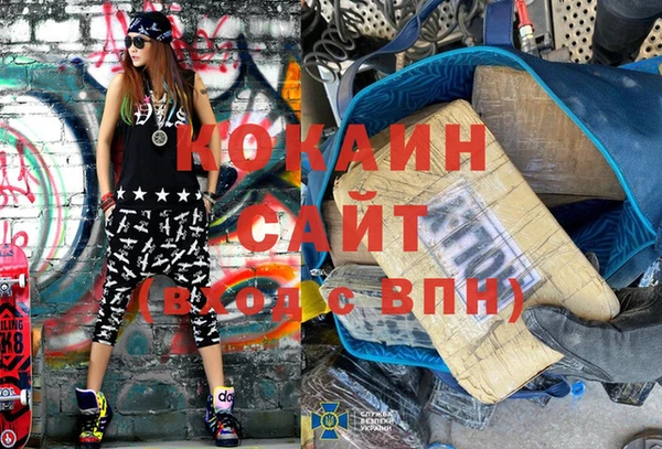 ГАЛЛЮЦИНОГЕННЫЕ ГРИБЫ Гусев