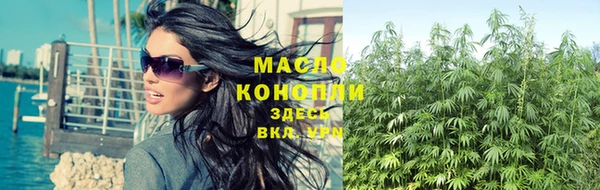 ГАЛЛЮЦИНОГЕННЫЕ ГРИБЫ Гусев