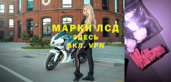 ГАЛЛЮЦИНОГЕННЫЕ ГРИБЫ Гусев