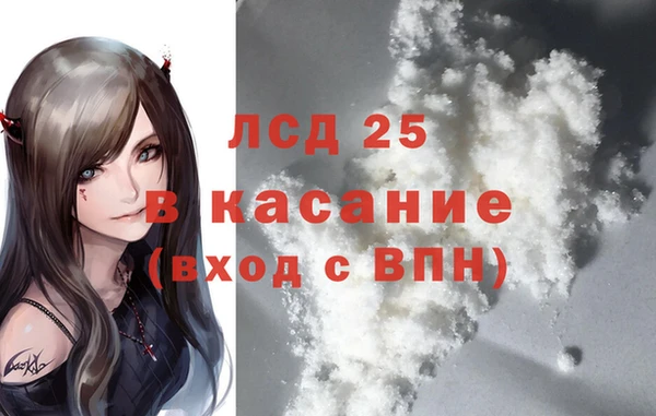 ГАЛЛЮЦИНОГЕННЫЕ ГРИБЫ Гусев
