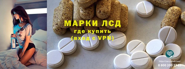 ГАЛЛЮЦИНОГЕННЫЕ ГРИБЫ Гусев