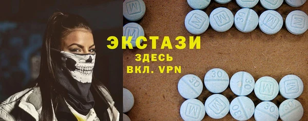 ГАЛЛЮЦИНОГЕННЫЕ ГРИБЫ Гусев