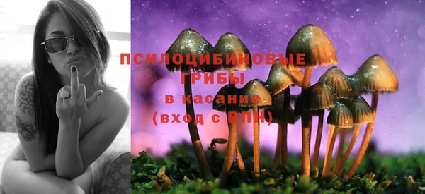 меф Гусиноозёрск
