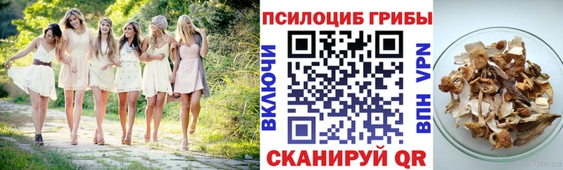 Купить  Карачаевск  Псилоцибиновые грибы прущие грибы 